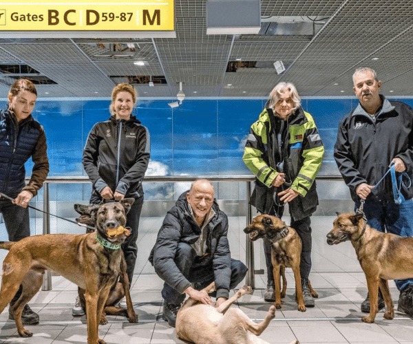 Signi Zoekhonden in Turkey